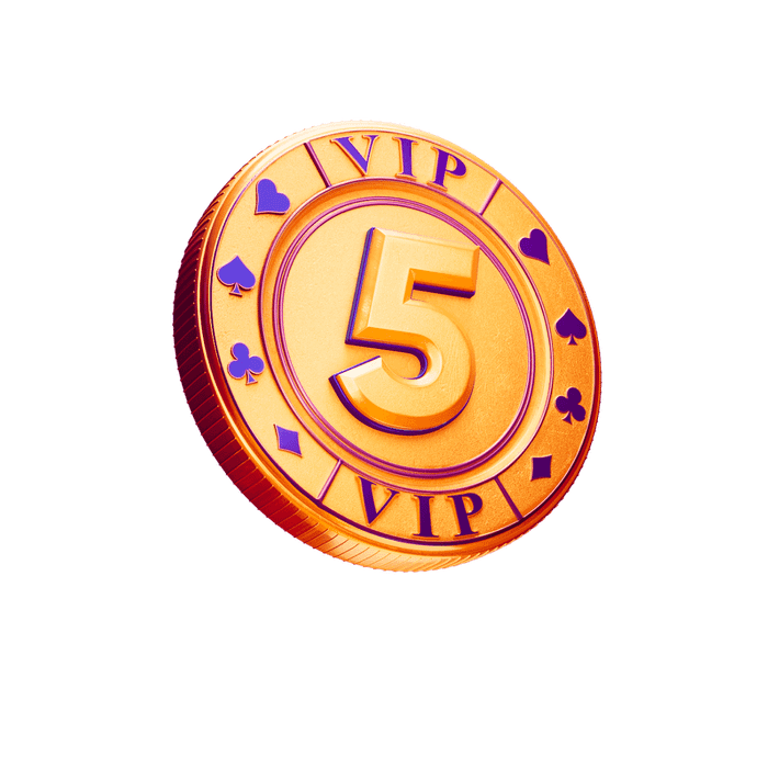 Niveau 5