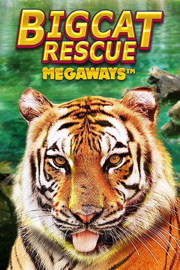 Big Cat Rescue Megaways